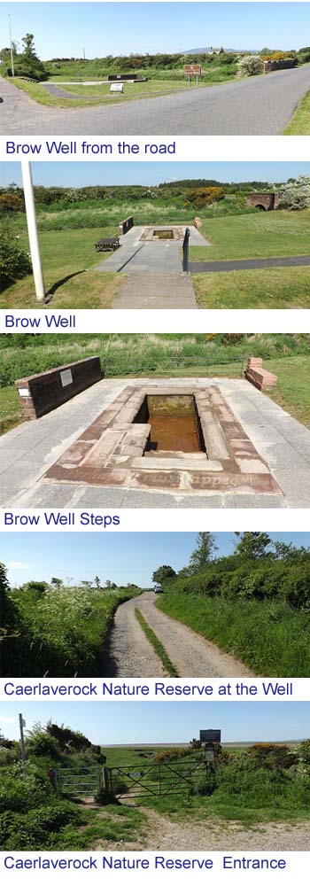 Brow Well Images