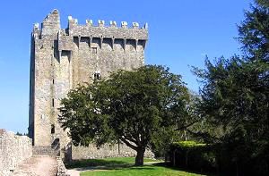 Blarney Castle Blarney Castle image