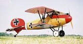 Albatros D.V
