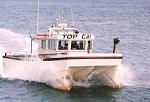 Top Cat