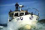 Inter-Island Cruises