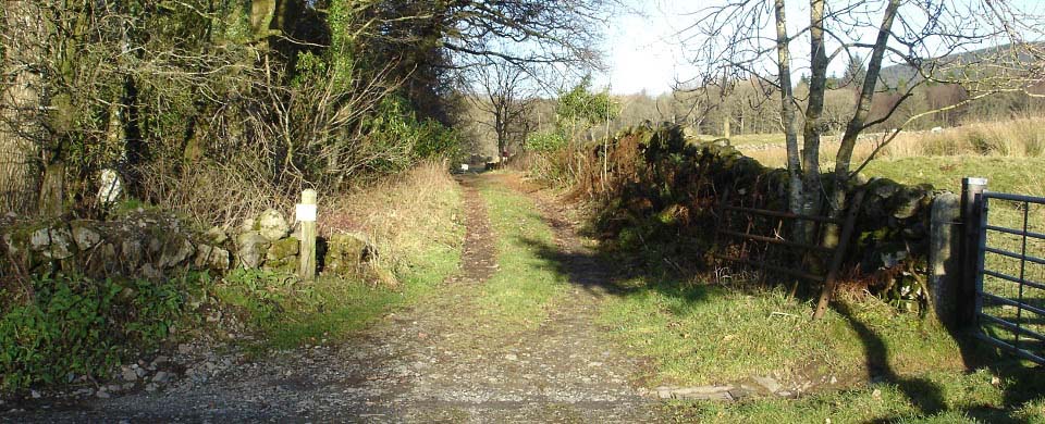 Cairnsmore of Fleet picnic area image