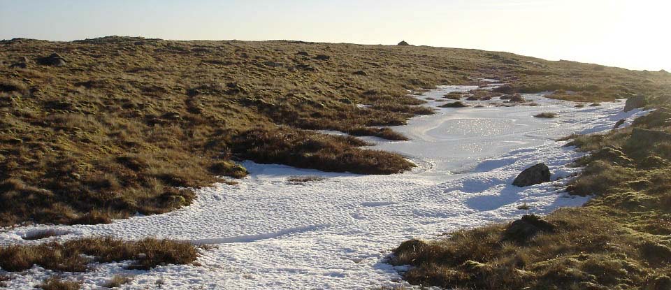 Knee of Cairnsmore summit image