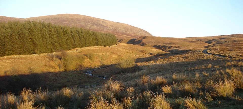 Knee of Cairnsmore West Side image