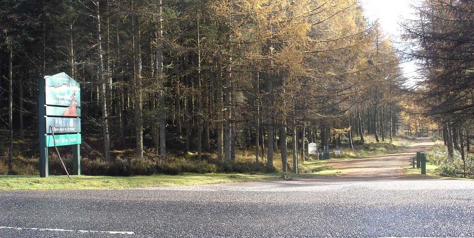 Raiders Road forest drive image