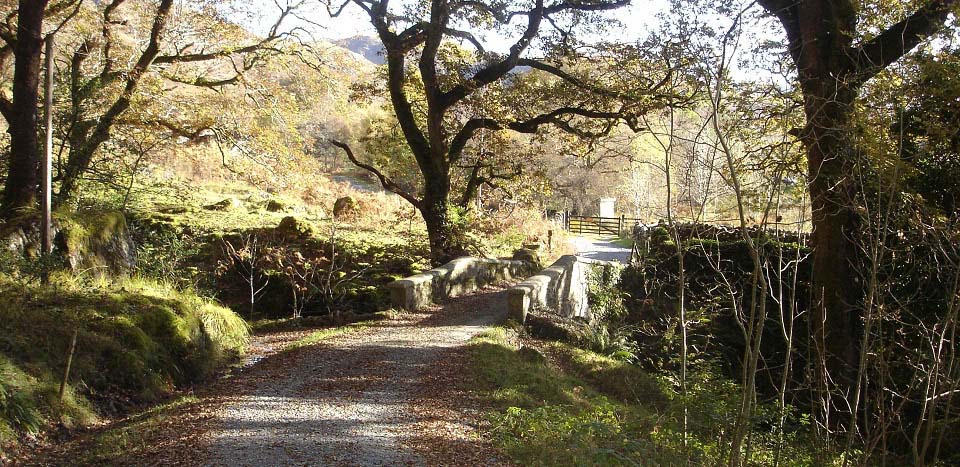 Buchan Bridge Glentrool image