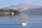 Ben Lomond image