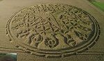 Crop Circles image