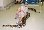 Giant Snakes image