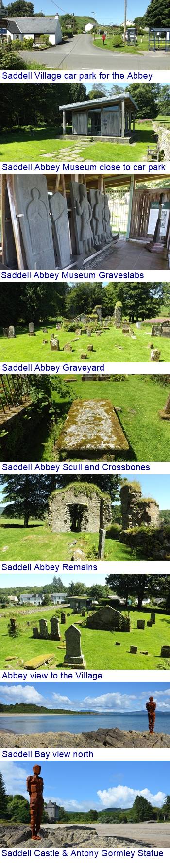 Saddell Abbey photos