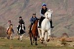 Milndavie Farm Riding Centre image