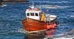 Staffa Trips